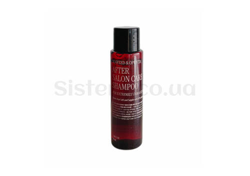 Відновлюючий шампунь для дуже пошкодженого волосся CURLY SHYLL After Salon Care Shampoo 50 мл - Фото