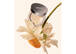 UNICO Setting & Finishing Powder Eclair 10 г - Фото 3