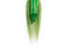 Блиск для губ LIPSS Lime Lipper SPF20 10 мл - Фото 3