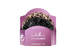 Набор резинок для волос INVISIBOBBLE Sprunchie Slim Leo Is The New Black - Фото 2