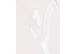 Блиск для губ з ментолом UNICO Lip Gloss Lace 12 мл - Фото 2