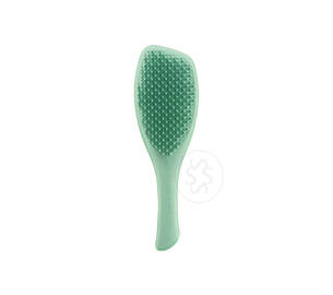 Щітка для волосся TANGLE TEEZER The Complete Carebrush Glistening Jade