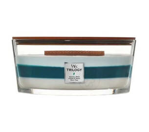 Ароматична свічка з деревними нотами WOODWICK Icy Woodland 453 г