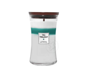 Ароматична свічка з деревними нотами WOODWICK Icy Woodland 610 г