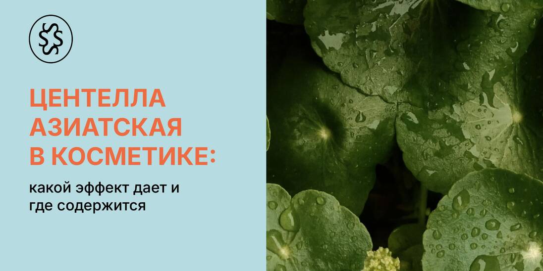 Центелла азиатская в косметике: какой эффект дает и где содержится