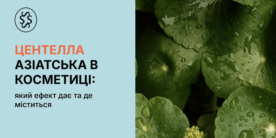 Центелла азіатська в косметиці: який ефект дає та де міститься