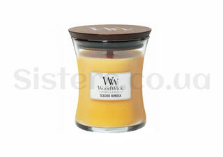 Ароматическая свеча с ароматом цитрусовых и винограда WOODWICK Seaside Mimosa 85 г - Фото